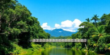 confira-se-voce-esta-entre-os--mil-selecionados-para-obter-a-cnh-gratuita-no-amazonas