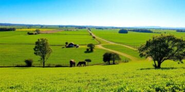 incluindo-tempo-rural-na-aposentadoria-publica