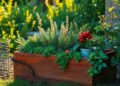 plantas-perfeitas-para-voce-plantar-no-final-do-ano-e-ter-sucesso