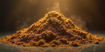 voce-tem-direito-a--do-inss